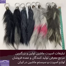 پخش دم رنگی