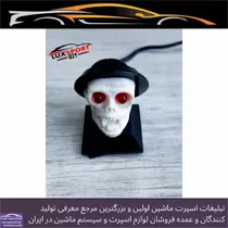 پخش  اسکلت چراغدار