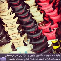 تولید کننده لوازم اسپرت ماشین